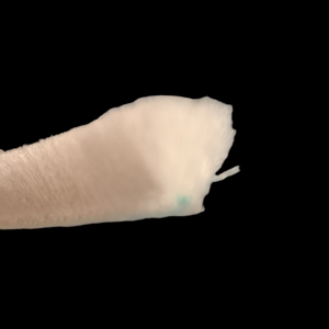 White Brush Woolpile - Window & Door Seal